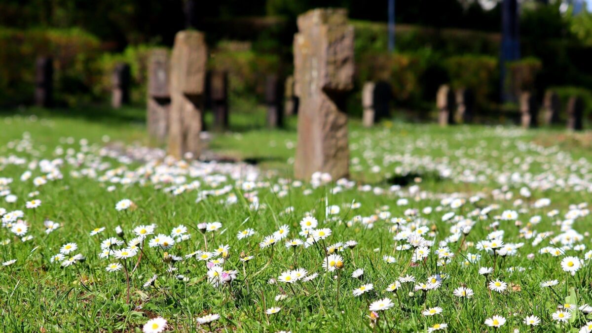 Beerdigung: Ein Friedhof auf dem Blumen zu sehen sind.