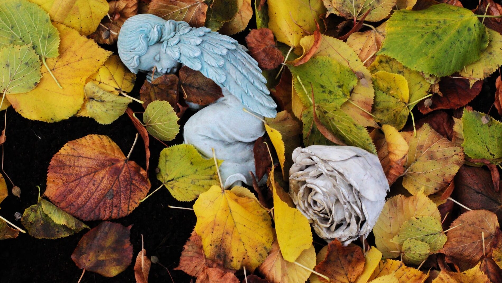 Eine Trauerfeier gestalten Vom Ablauf bis zur Organisation